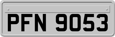 PFN9053