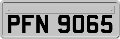 PFN9065