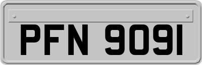 PFN9091