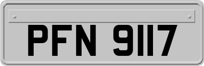 PFN9117