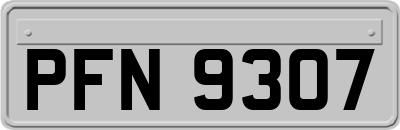 PFN9307