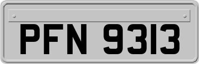PFN9313