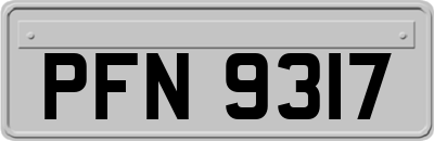 PFN9317