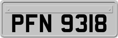 PFN9318