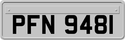 PFN9481