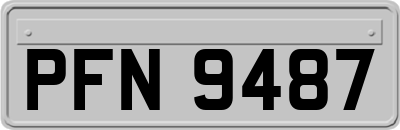 PFN9487