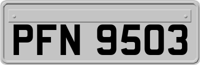 PFN9503