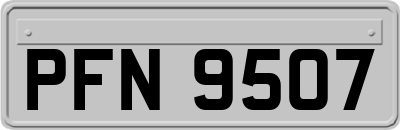PFN9507
