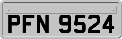 PFN9524