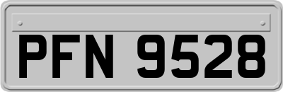 PFN9528