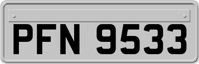 PFN9533