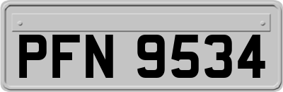 PFN9534