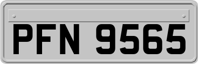 PFN9565