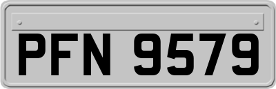 PFN9579