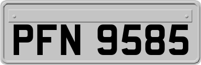 PFN9585