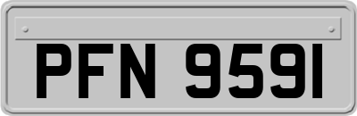 PFN9591