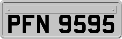 PFN9595