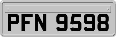 PFN9598