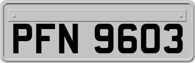 PFN9603