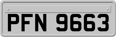 PFN9663