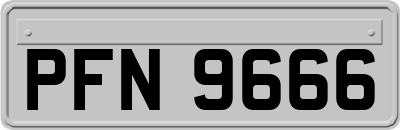 PFN9666