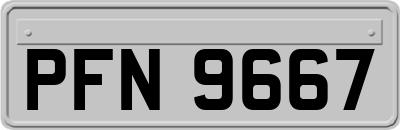 PFN9667