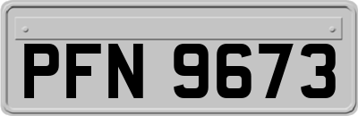 PFN9673