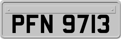 PFN9713