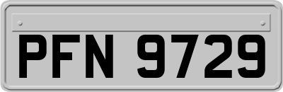 PFN9729