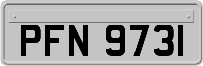 PFN9731