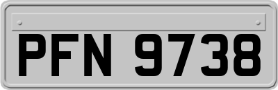 PFN9738