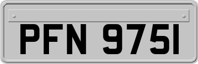 PFN9751