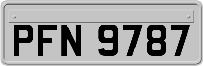 PFN9787