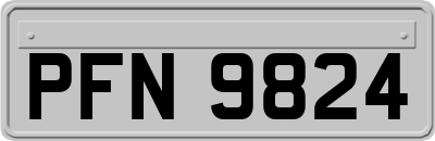 PFN9824