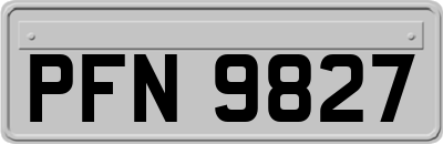 PFN9827