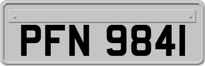 PFN9841