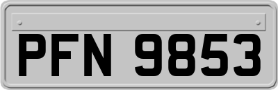 PFN9853