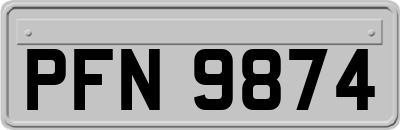 PFN9874
