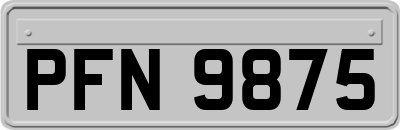 PFN9875