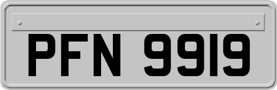 PFN9919