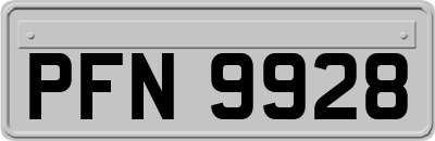 PFN9928