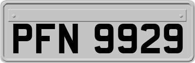 PFN9929