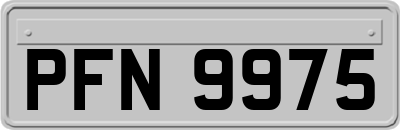 PFN9975