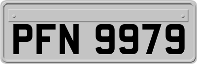 PFN9979