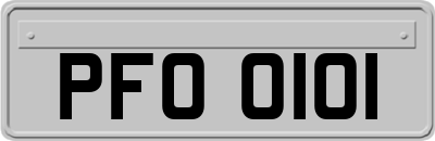 PFO0101