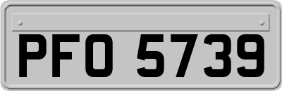 PFO5739