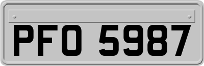 PFO5987