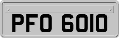 PFO6010