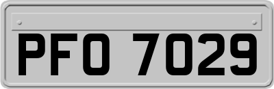PFO7029