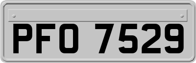 PFO7529